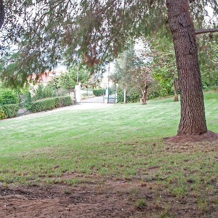 Oasis Olympia Apartments Smila Εξωτερικό φωτογραφία