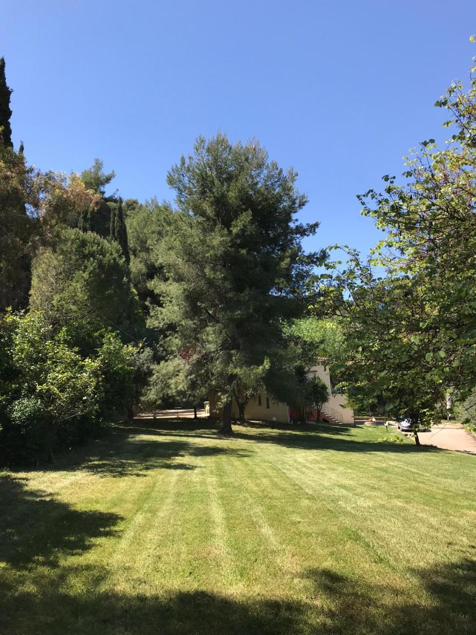 Oasis Olympia Apartments Smila Εξωτερικό φωτογραφία