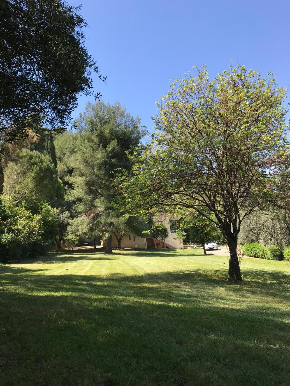Oasis Olympia Apartments Smila Εξωτερικό φωτογραφία