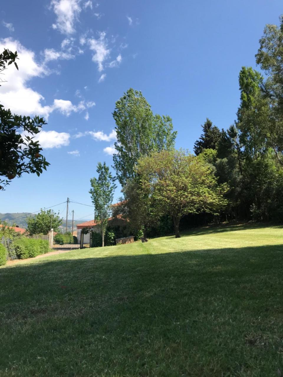 Oasis Olympia Apartments Smila Εξωτερικό φωτογραφία