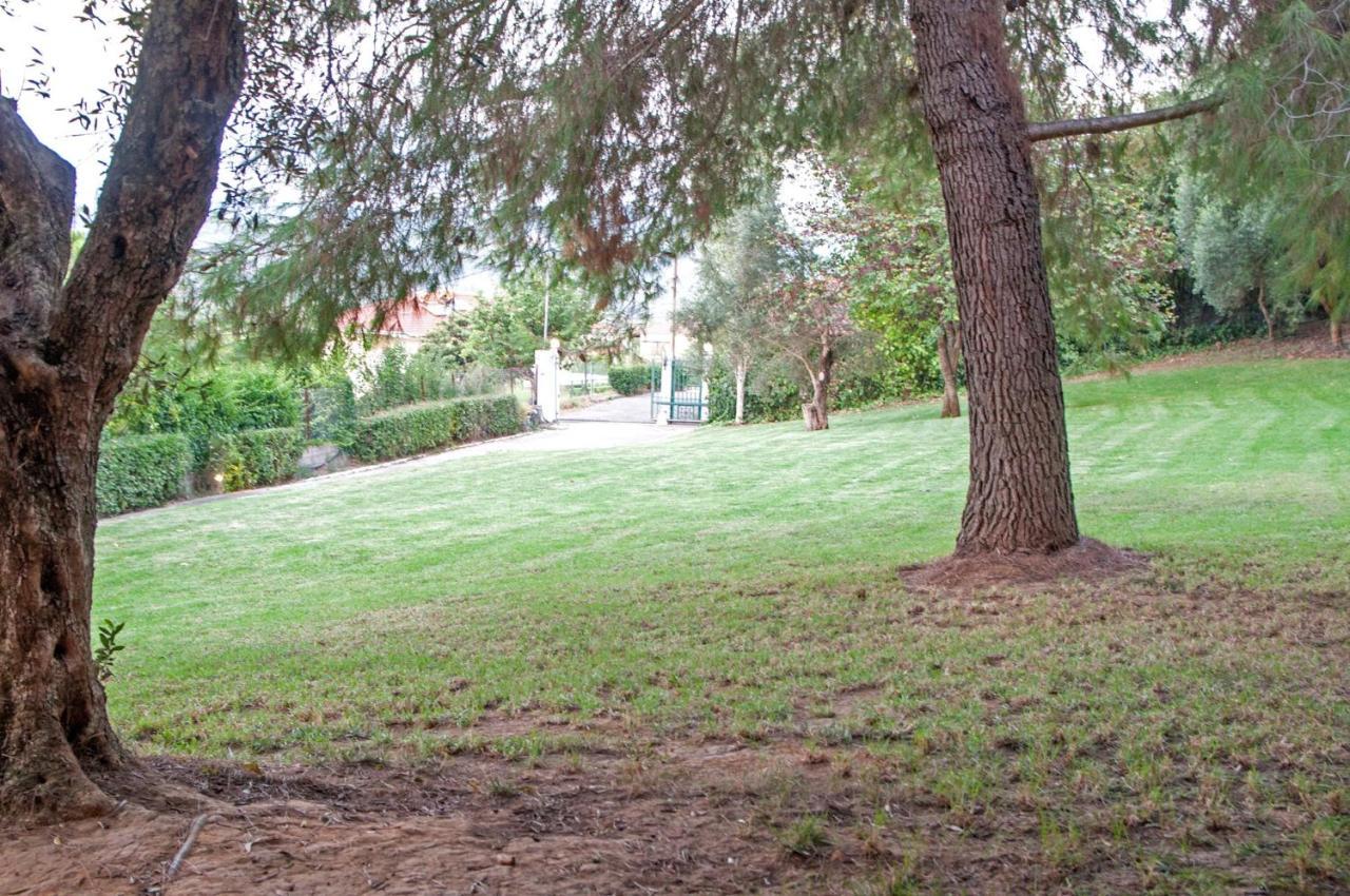 Oasis Olympia Apartments Smila Εξωτερικό φωτογραφία